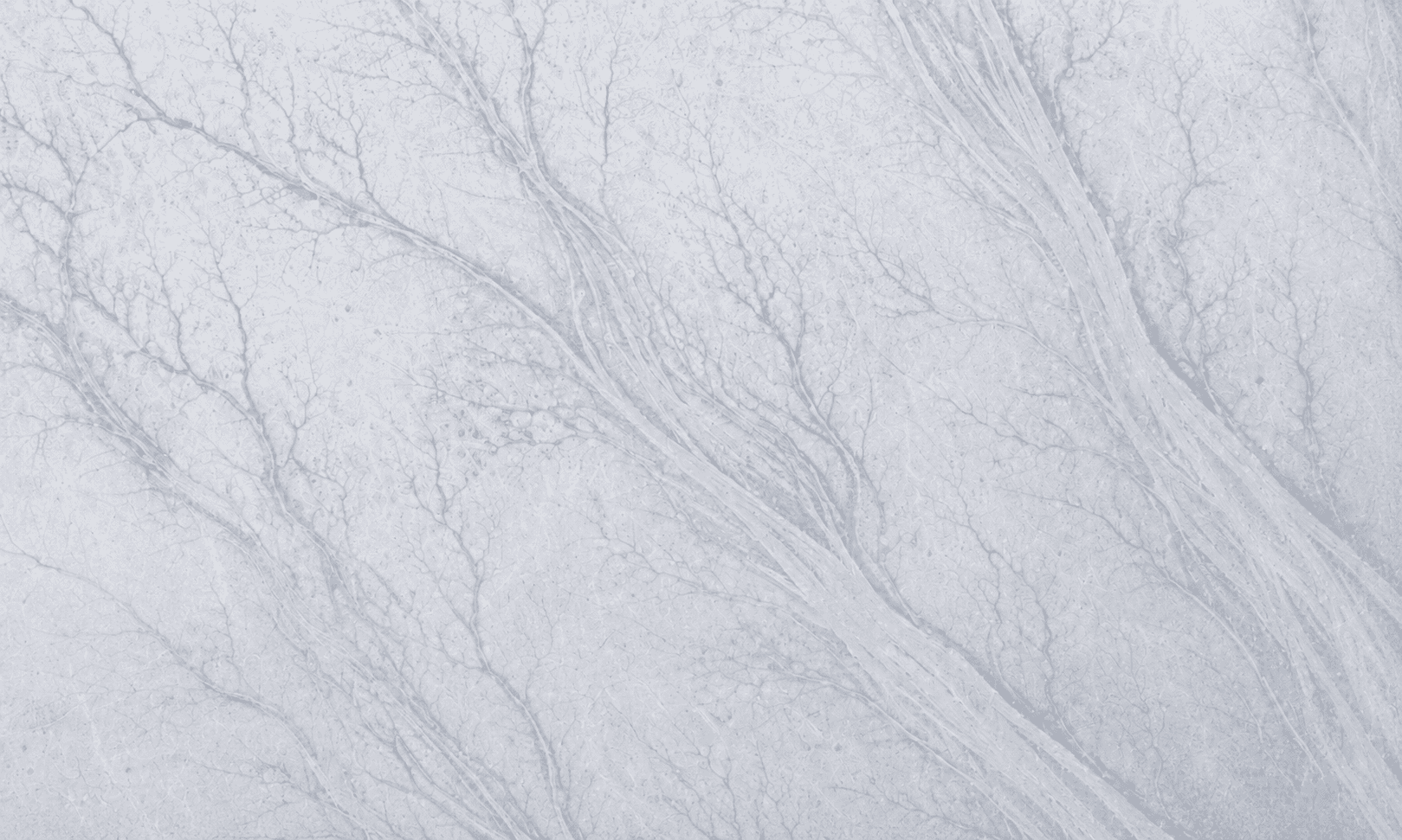 Abstract white terrain rendering